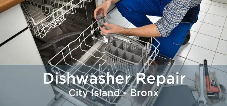 Dishwasher Repair City Island - Bronx