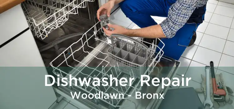 Dishwasher Repair Woodlawn - Bronx