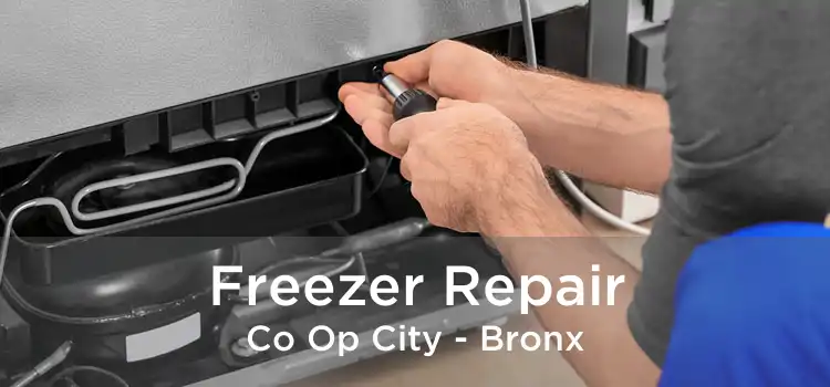 Freezer Repair Co Op City - Bronx