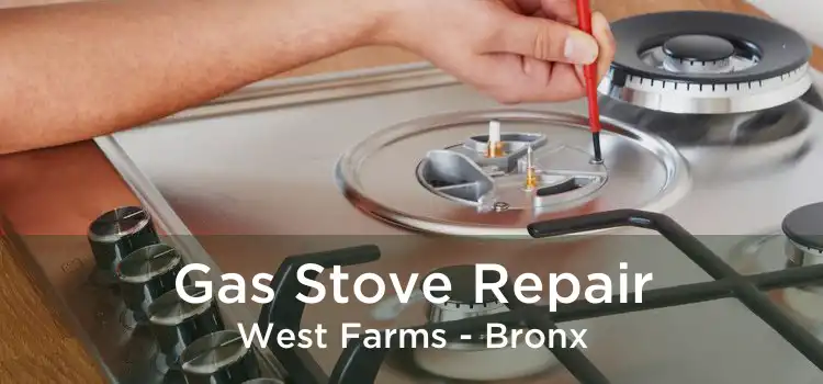 Gas Stove Repair West Farms - Bronx