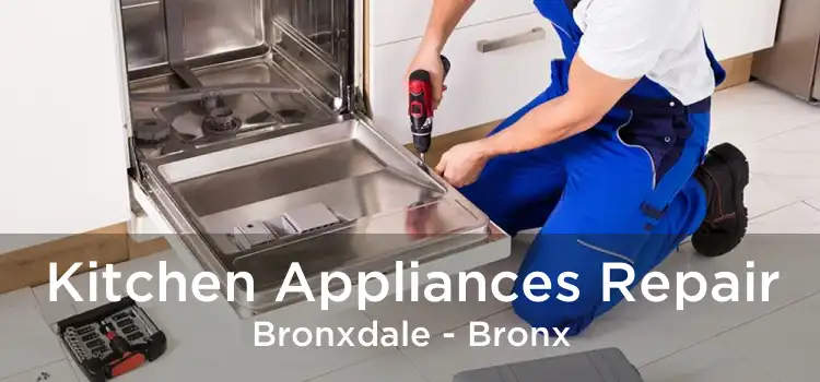 Kitchen Appliances Repair Bronxdale - Bronx